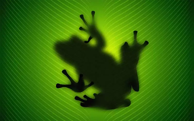 �ر����Լ���һ�λ���һ����