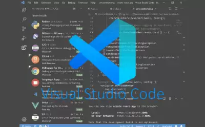 Visual Studio Code��ҳ������ʹ������������ַ