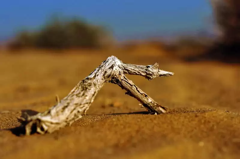 哪些句子让你读后久久不能忘怀精辟而走心果断收藏分享_wishdown.com 哪些句子让你读后久久不能忘怀精辟而走心果断收藏分享_wishdown.com