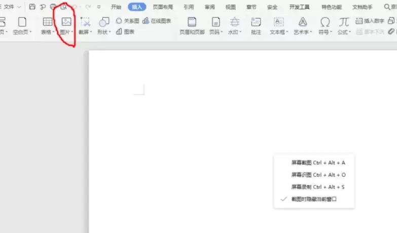 WPS电脑版如何新建空白文档并插入图片_wishdown.com WPS电脑版如何新建空白文档并插入图片_wishdown.com