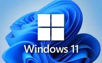 Windows 11 ��ҳ��ٷ������������ַ