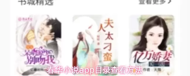 ����С˵AppĿ¼�鿴ָ������ϸ����