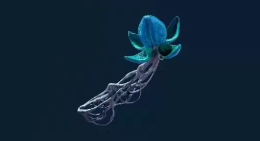 深海迷航2布鲁姆寄生虫特性解析与应对方法_wishdown.com 《深海迷航2:异星水域》布鲁姆寄生虫特点介绍