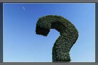 ƴ����������۲鿴���������ֺ������
