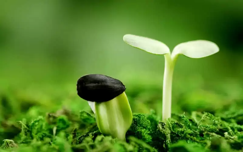 哪些句子让你读后久久不能忘怀精辟而走心果断收藏分享_wishdown.com 哪些句子让你读后久久不能忘怀精辟而走心果断收藏分享_wishdown.com