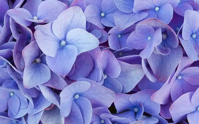 �ʺ���ҹ����emo�İ������ͻ���