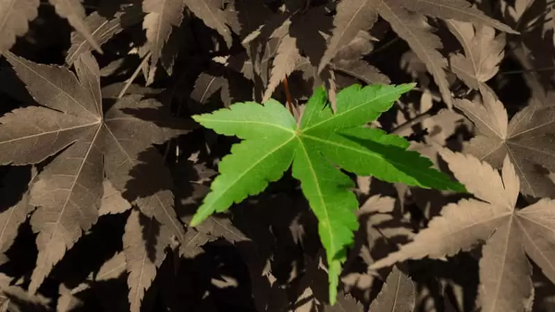 适合周一早上发的有力量带着光的句子旺自己_wishdown.com 适合周一早上发的有力量带着光的句子旺自己_wishdown.com