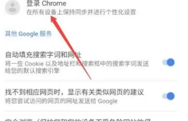 谷歌浏览器账号登录步骤详解_wishdown.com 谷歌浏览器账号登录步骤详解_wishdown.com