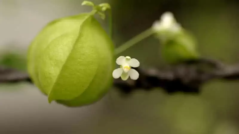 ���Ϸ�����в�̫����˼��