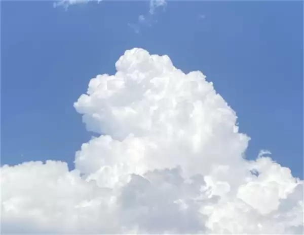 蚂蚁庄园今日答案5月14日最新问题与正确答案解析_wishdown.com 蚂蚁庄园今日答案5月14日最新问题与正确答案解析_wishdown.com
