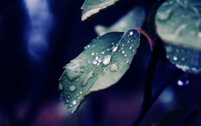 �ͺ��ι����Ҹ��İ�