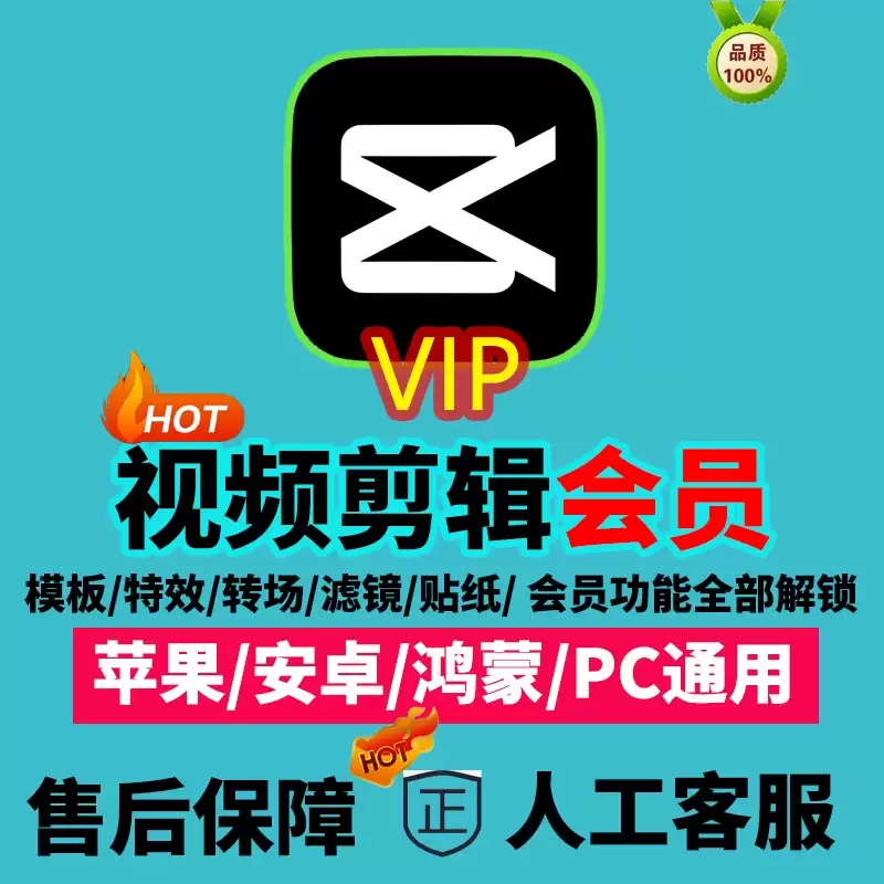 剪映SVIP会员值得买吗?价格与功能全解析_wishdown.com 剪映SVIP是否值得购买