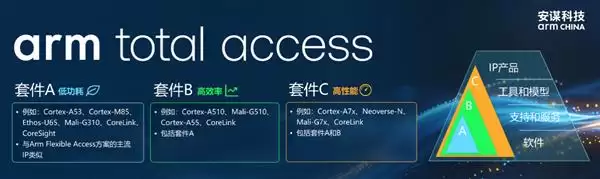 AI+�˳���  Arm Total Access��Ȩ����ģʽΪʲô���ܹ���MCU��������