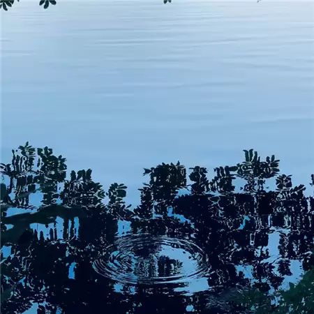 �����˸����� | Ů���ɰ�Ӣ����100����ѡ