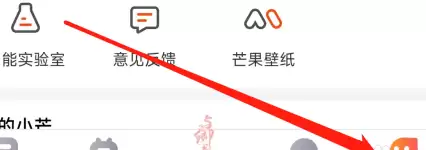 芒果TV会员卡查看步骤详解 如何查询芒果卡使用情况_wishdown.com 芒果TV会员卡查看步骤详解 如何查询芒果卡使用情况_wishdown.com