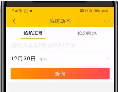 飞猪旅行查看机场大屏与航班动态操作指南_wishdown.com 飞猪旅行查看机场大屏与航班动态操作指南_wishdown.com