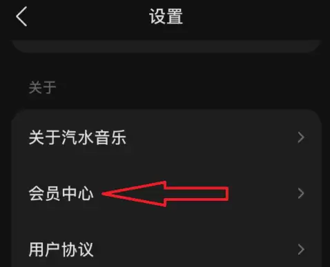 汽水音乐会员开通步骤与价格详解_wishdown.com 汽水音乐会员开通步骤与价格详解_wishdown.com