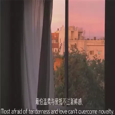 Ů���˸�Ӣ��������ѡ100�� | ���塢�Ƽ������