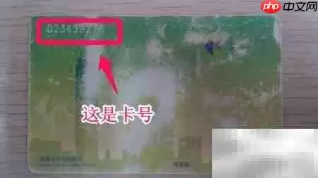 深圳通余额查询方法及步骤详解_wishdown.com 深圳通余额查询方法及步骤详解_wishdown.com