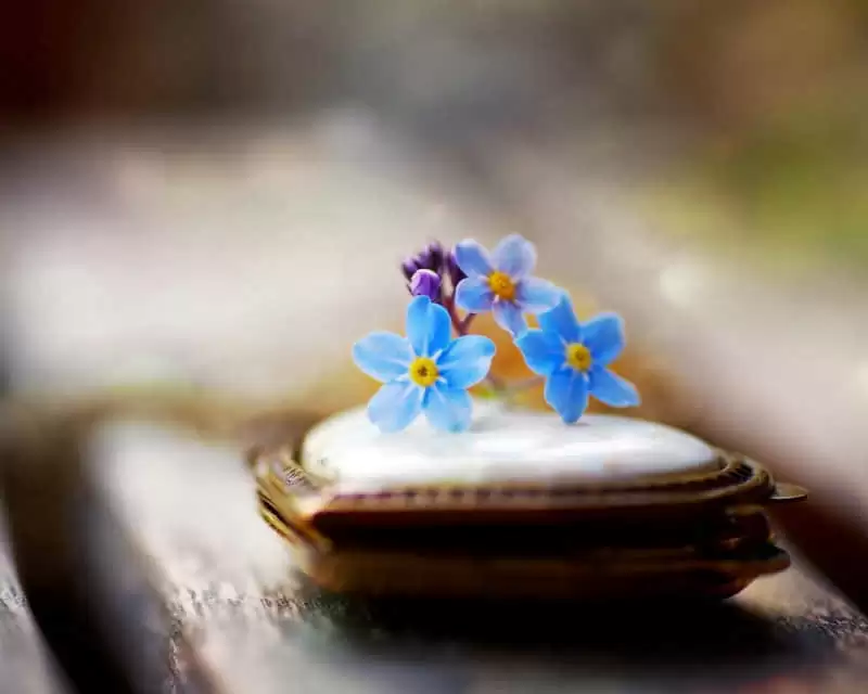��Խ����˵����Խ���������ϵ