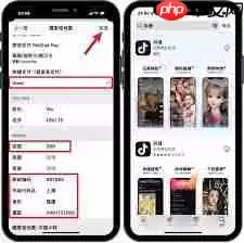 抖音iPad版下载安装教程 轻松获取高清大屏体验_wishdown.com 抖音iPad版下载安装教程 轻松获取高清大屏体验_wishdown.com