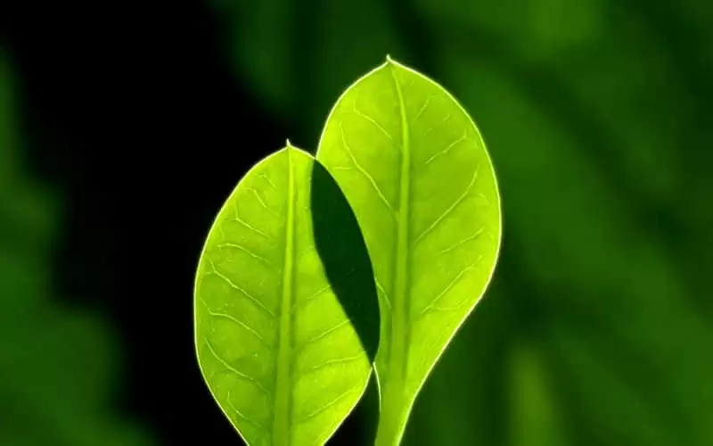 存下来喝奶茶时这么发能把朋友圈笑死_wishdown.com 存下来喝奶茶时这么发能把朋友圈笑死_wishdown.com