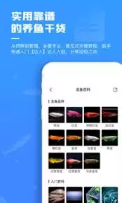 鲲天下积分获取全攻略与实用技巧_wishdown.com 鲲天下积分获取全攻略与实用技巧_wishdown.com