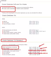 Oracle 12c���ݿⰲװ��������ϸͼ�Ľ̳�