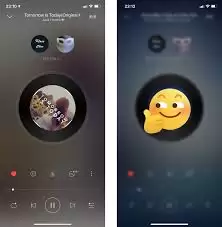 网易云音乐一起听功能使用教程与操作指南_wishdown.com 网易云音乐一起听功能怎么用