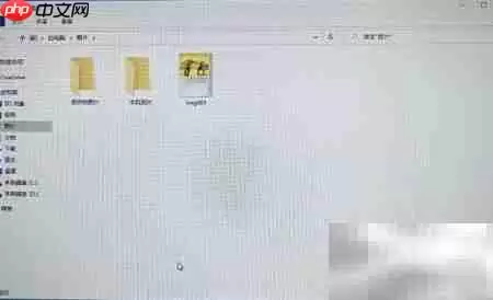 爱普生扫描仪操作教程与使用技巧_wishdown.com 爱普生扫描仪操作教程与使用技巧_wishdown.com