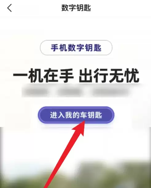 丰云行APP远程启动车辆操作步骤详解_wishdown.com 丰云行APP远程启动车辆操作步骤详解_wishdown.com
