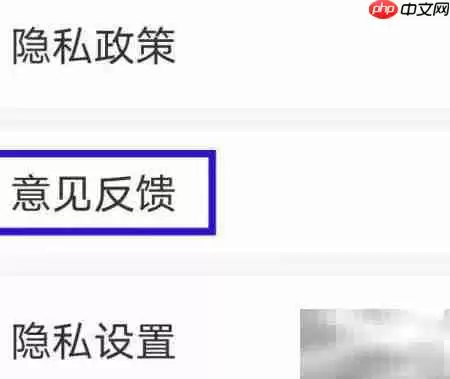 如何向大字平台提交意见反馈_wishdown.com 如何向大字平台提交意见反馈_wishdown.com