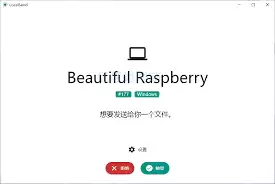 LocalSend文件传输使用教程与详细步骤_wishdown.com LocalSend文件传输使用教程与详细步骤_wishdown.com