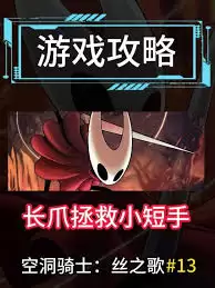 空洞骑士丝之歌灵火提灯获取方法详解_wishdown.com 空洞骑士丝之歌灵火提灯怎么获得