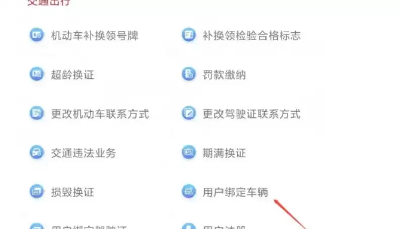国家政务服务平台车辆绑定流程与操作指南_wishdown.com 国家政务服务平台车辆绑定流程与操作指南_wishdown.com