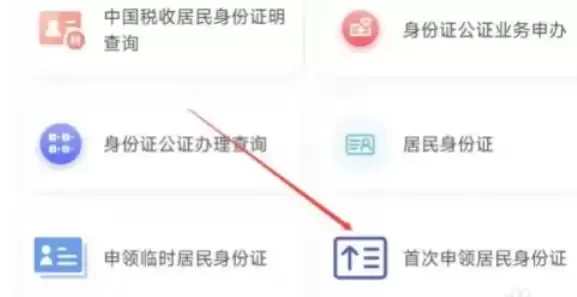 国家政务服务平台身份证办理指南_wishdown.com 国家政务服务平台身份证办理指南_wishdown.com