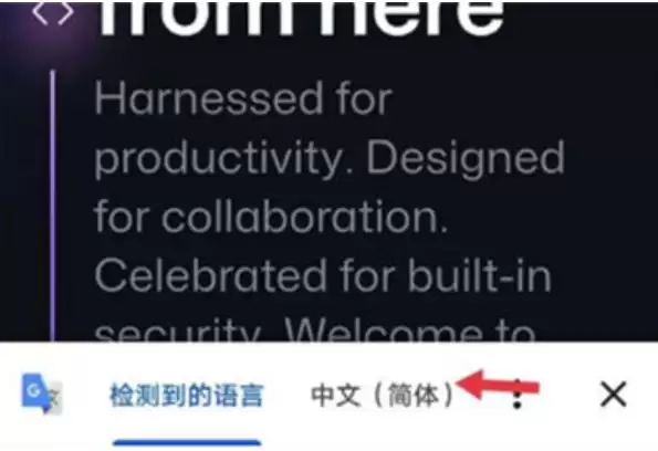 谷歌浏览器网页翻译功能使用教程_wishdown.com 谷歌浏览器网页翻译功能使用教程_wishdown.com