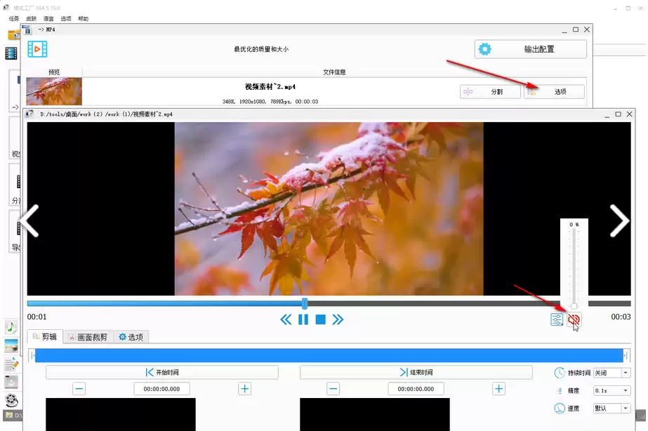 视频静音处理教程 格式工厂去除音频方法详解_wishdown.com 视频静音处理教程 格式工厂去除音频方法详解_wishdown.com