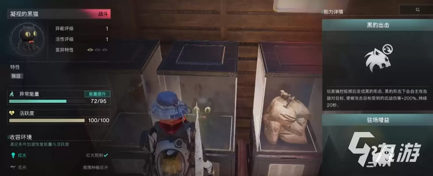 �����������ӵĺ�è�����������ȡ�������