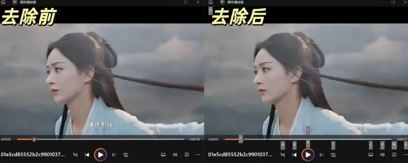 ��Ƶȥˮӡ������⣺ˮӡ�Ʋ���ָ���벽��