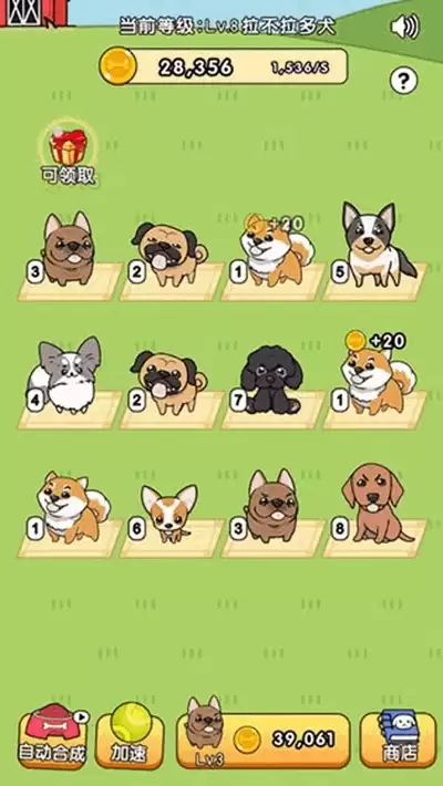 狗狗日常玩耍指南 如何与爱犬互动更有趣_wishdown.com 我的狗狗游戏画面截图4