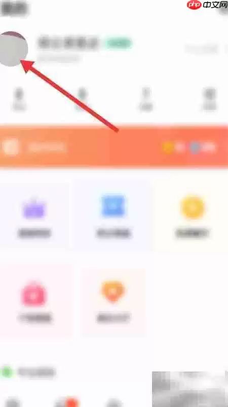 CPͷ�������޸ķ�����ϸ����ָ��