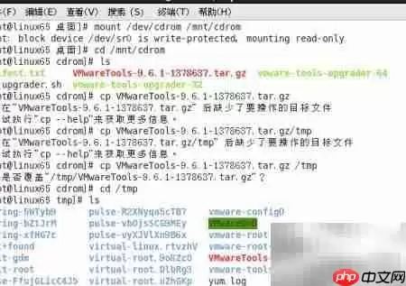 VMware Tools安装教程 Linux系统详细步骤_wishdown.com VMware Tools安装教程 Linux系统详细步骤_wishdown.com