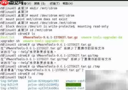 VMware Tools安装教程 Linux系统详细步骤_wishdown.com VMware Tools安装教程 Linux系统详细步骤_wishdown.com