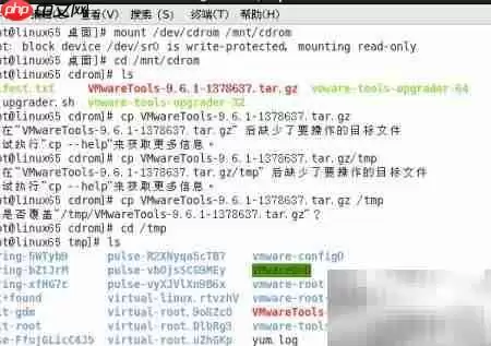 VMware Tools安装教程 Linux系统详细步骤_wishdown.com VMware Tools安装教程 Linux系统详细步骤_wishdown.com