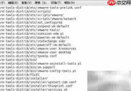 VMware Tools安装教程 Linux系统详细步骤_wishdown.com VMware Tools安装教程 Linux系统详细步骤_wishdown.com