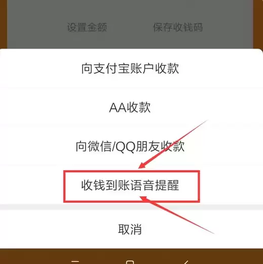 支付宝收款语音播报开启与设置方法_wishdown.com 支付宝收款语音播报开启与设置方法_wishdown.com