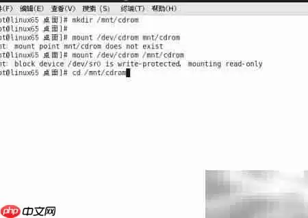 VMware Tools安装教程 Linux系统详细步骤_wishdown.com VMware Tools安装教程 Linux系统详细步骤_wishdown.com