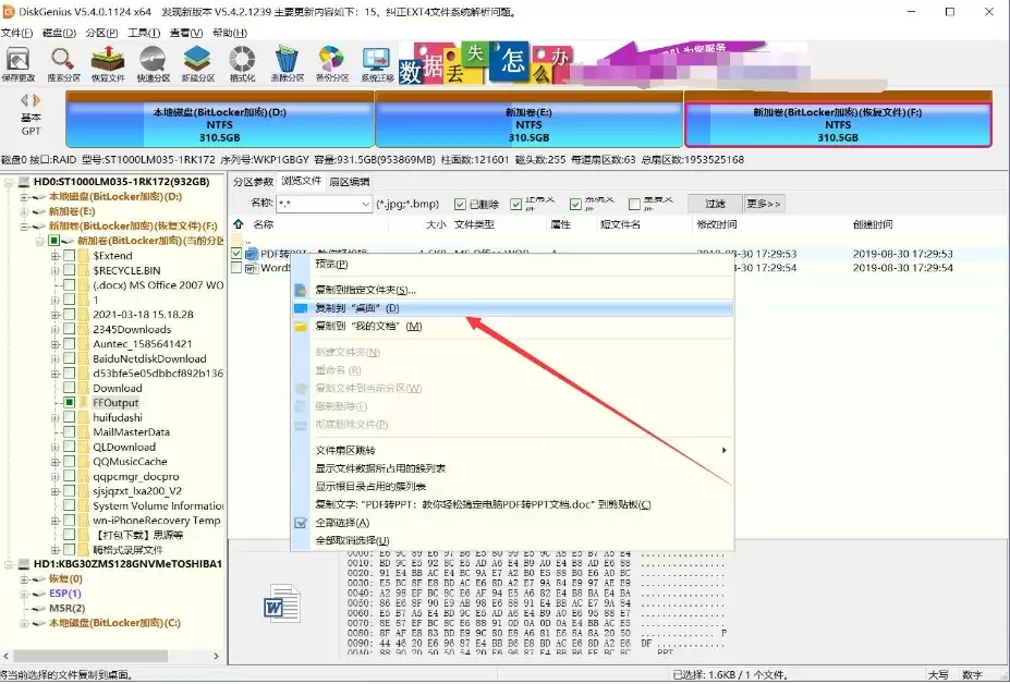 DiskGenius恢复已删除文件图文教程_wishdown.com DiskGenius恢复已删除文件图文教程_wishdown.com