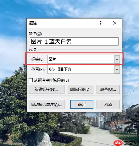 Word图片标注箭头制作方法详解_wishdown.com Word图片标注箭头制作方法详解_wishdown.com